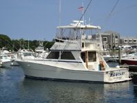 Viking Boats Convertible Sport Fish