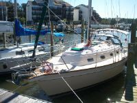 Island Packet 370 Sloop