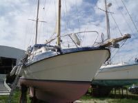 Viksund Goldfish 31 Ms