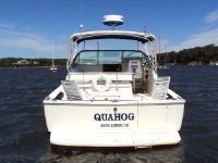 Bertram 2006 Moppie New Volvo's 2006