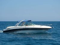 Sea Ray 295