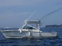 Carolina Classic Classic 25