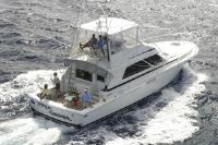 Bertram Sportfish Convertible
