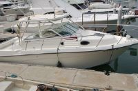 Seaswirl Striper 2901 Walkaround I/O