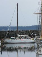 Maple Leaf 42
