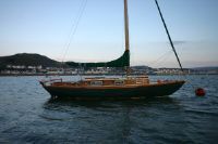 Alan Buchanan Viking Class