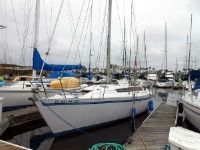 Kirie Elite 37