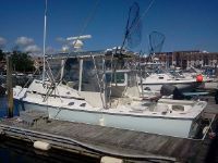 Bertram 31 Bahia Mar