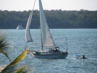 Spray Bruce Roberts Spray (Soft Chine)