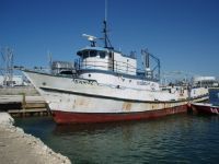 Custom Longliner/Pilothouse/Trawler