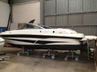 Campion Allante 595 Br