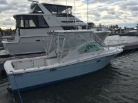 Bimini Marine 245 Express Sportfish /Trailer