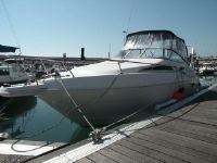 Wellcraft Excel 265 E