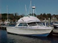Bertram 28' Flybridge Cruiser