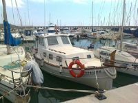 Llaut Tiburon 44