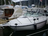 Boston Whaler 295Conquest
