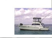 Viking Yachts 40 Convertible