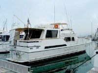 Horizon 60