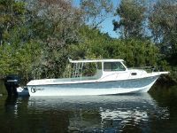 C Hawk 29 Sport Cabin