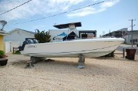 Blue Fin 250 Offshore Pro Fish