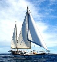 Wind Boats Endurance