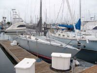 Tradewinds Performance Sloop