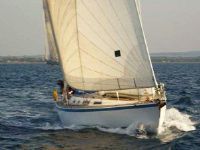 Wauquiez Centurion 48S