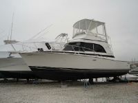 Bertram 33 Ii Convertible