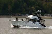 Trojan 32 Sportfisher F-32 Flybridge Sedan