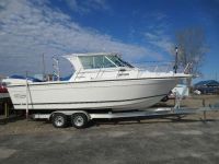 Baha Cruisers 277 Gle Ob