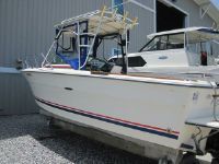 Sea Ray 245 Walk Around Fisherman