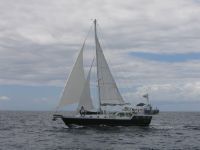 Horizon Steel Pilothouse