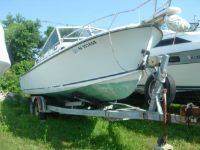 Shamrock 26 Predator