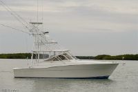 Viking Yacht 35' Express