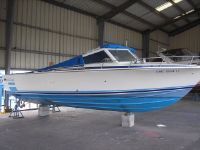 Bertram Sport Express - M