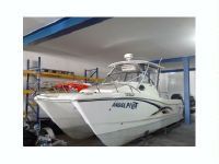 World Cat World Cat 270 Ec Ref202