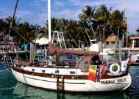 Young Sun Yacht Mackinaw 35