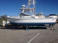 Shamrock 266 Predator 2005 Motor