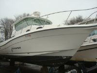 Seaswirl 2901 Walkaround