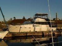 Bayliner 38 Motoryacht W/300Hp Perkins