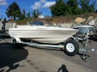 Bayliner 1954 Fishski