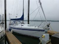 Barberis (Doug Peterson) Show 34