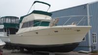 Viking 33 Sport Fish