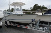 Triton Sea Flight W/ 4-Stroke