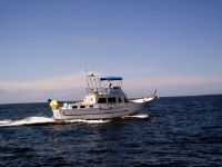 Mmc Trawler