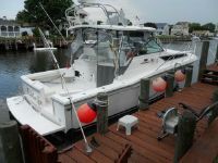 Wellcraft 33 Coastal W 2014 Engines