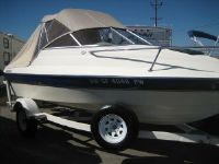 Bayliner 1952  Cuddy