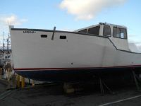 Novi Boat