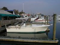 Bimini/Topaz 24-Foot Center/Cuddy