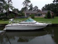 1990 Bertram 28' Sport Fish